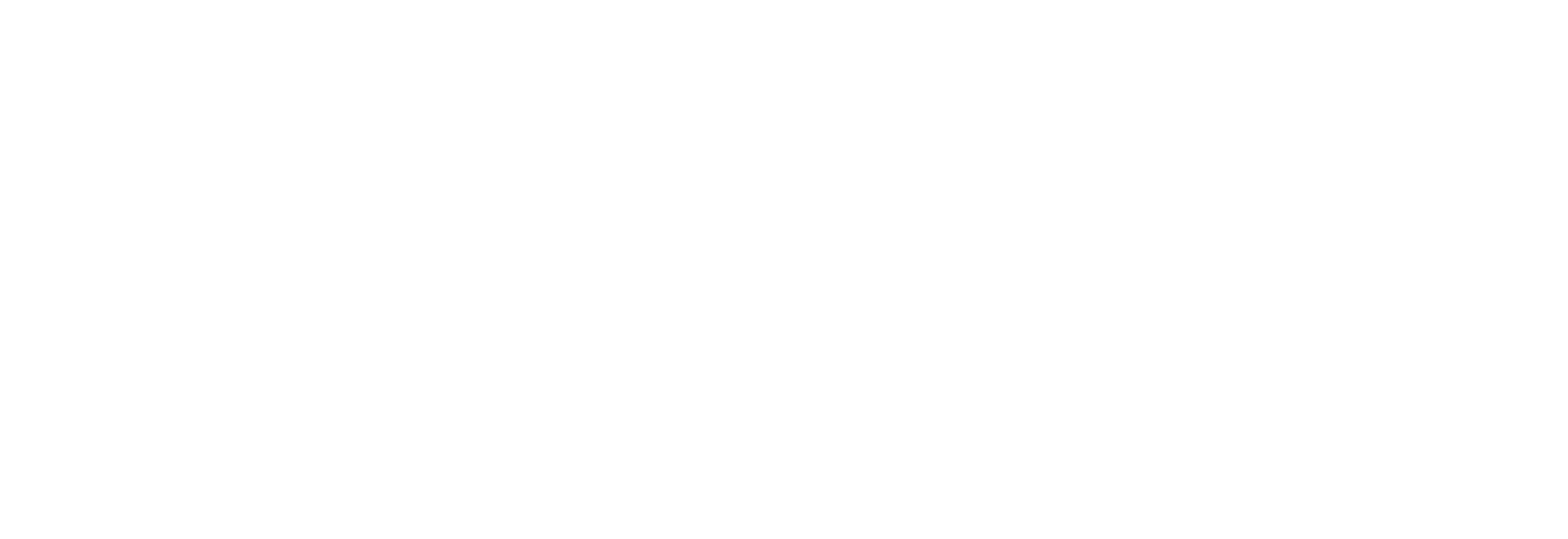 FLIR_Digital_Without-Tagline_White-1
